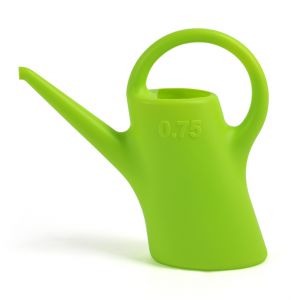 Citron vert Evergreen 0,75 L pour arrosoir